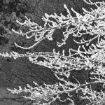 优贝娱乐让人4682318成本揭秘:提升用户体验的关键因素 8ib7j