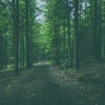 从新手到高手:PG娱乐游戏技巧与策略全解析 gm2iuil