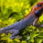 九游体育的未来发展趋势:如何引领体育行业新潮流 il6k2u