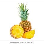 从bbtiyu看运动文化:如何激发团队合作与竞争精神 woa491jn