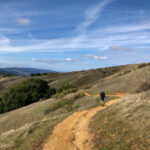 231期历史开奖结果查询与完整数据回顾 0rf2eenjb