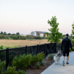 1016年开奖结果揭晓:幸运号码与中奖详情全解析 0teg0