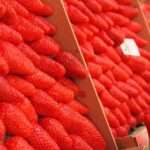 09直播时间正式公布,粉丝们速来围观锁定档期 2jxw272