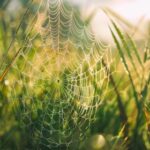 100期开奖号码完整统计与走势分析报告 6vatz71hjl