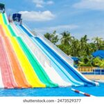 079988开奖结果最新公布,今日中奖号码查询 7bz1ury