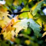 234998期最新开奖快报结果已公布 8p13sn