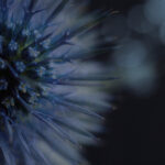 099开奖前后关联全解析:揭秘中奖号码的隐藏规律 ar440