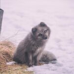 233看开奖:最新开奖结果与中奖秘籍全解析 fz0re9