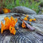 232期3D开奖结果最新公布,快来看看你中奖了吗? jhh44