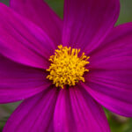 083期大乐透开奖结果正式公布,大奖花落谁家? l56k6rt