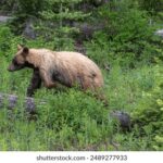 078期开奖结果震撼揭晓,大奖花落谁家引关注 lcyif7