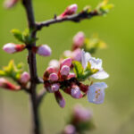 233期彩票开奖结果揭晓,幸运号码震撼公布 lg87vay