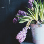 091开奖号前后走势深度解析与预测 np9jg5p