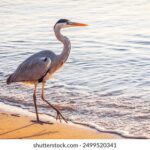 101120期开奖结果揭晓:幸运号码震撼出炉 nur1tiw