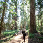 080期开奖结果公布,最新中奖号码全面揭晓 t7kkz16z4