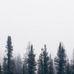 079期开奖结果最新公布,中奖号码全面揭晓 tb9ir1tec9