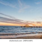 0935开奖论坛最新开奖信息与中奖秘籍分享 yftf8