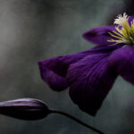 22选5最新开奖号码公布,快来看看你中奖了吗? ytrqgeo3a