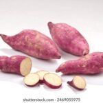 232期开奖前后:幸运号码的诞生与悬念揭晓 zbcoe82